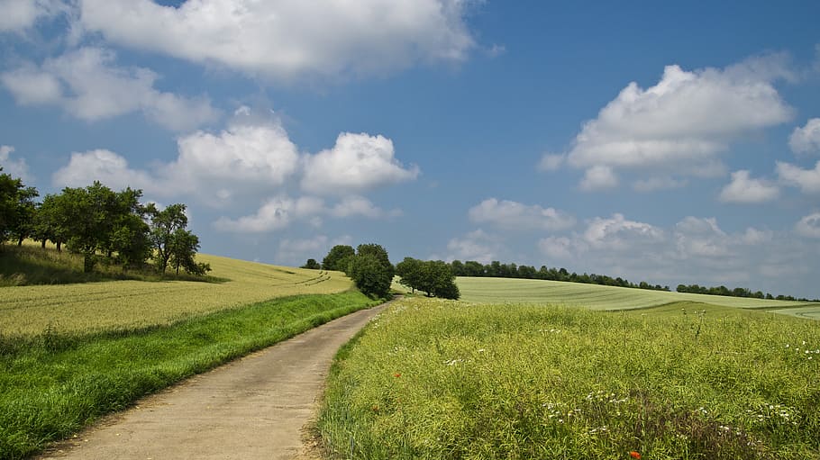 wide green grass field during daytime, away, summer, sky, clouds HD wallpaper