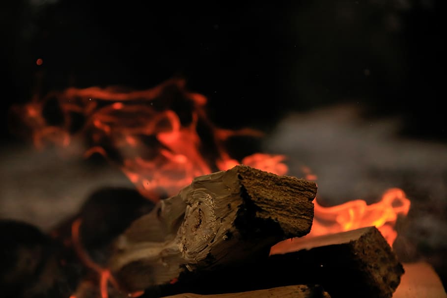 close up photography of firewood, time lapse photography of bonfire HD wallpaper