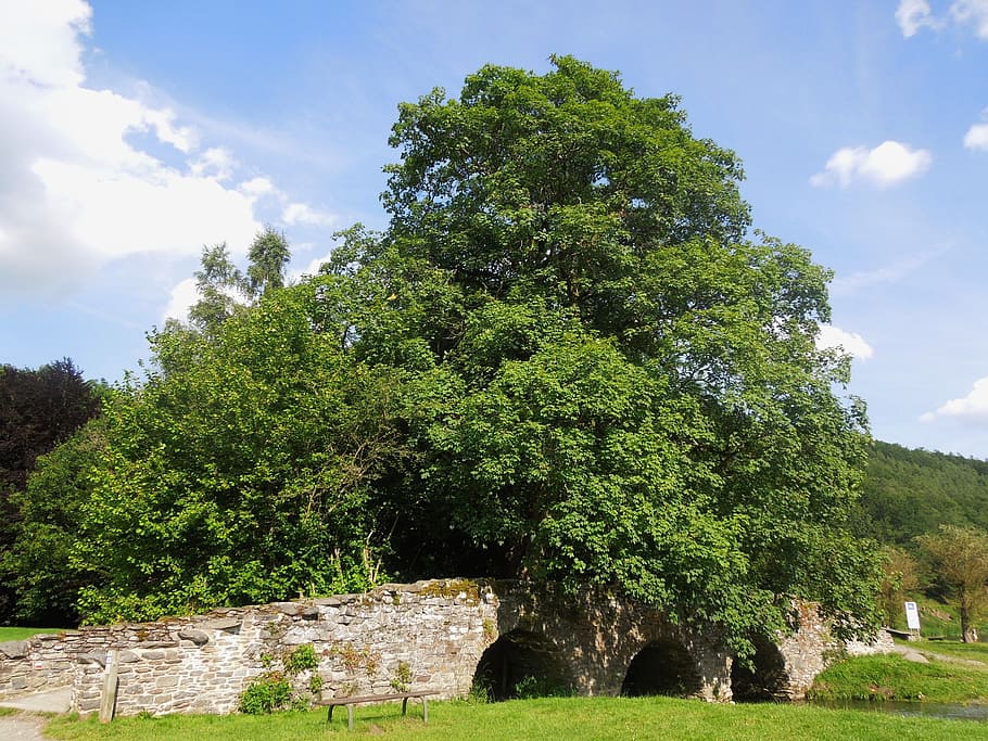 Bridge, Tree, Blue Sky, summer, landscape, stone, rural, countryside HD wallpaper