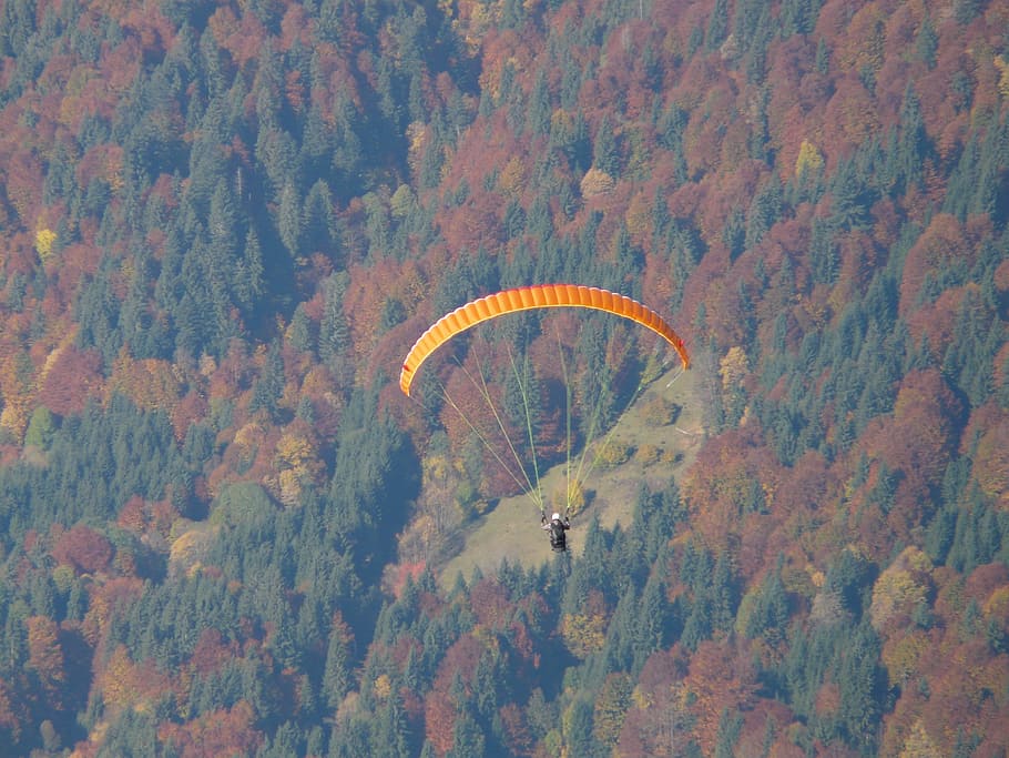 Paraglider, Fly, Flight, hang glider, paragliding, forest, autumn forest HD wallpaper