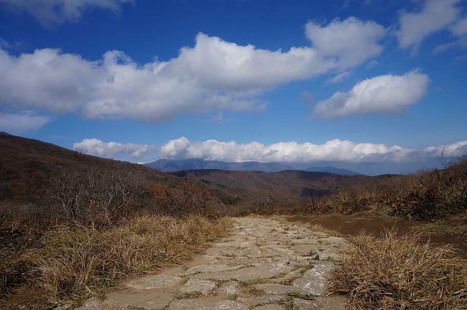 Cloud, Wood, Nature, Blue Sky, mountain, travel, sunshine, landscape HD wallpaper
