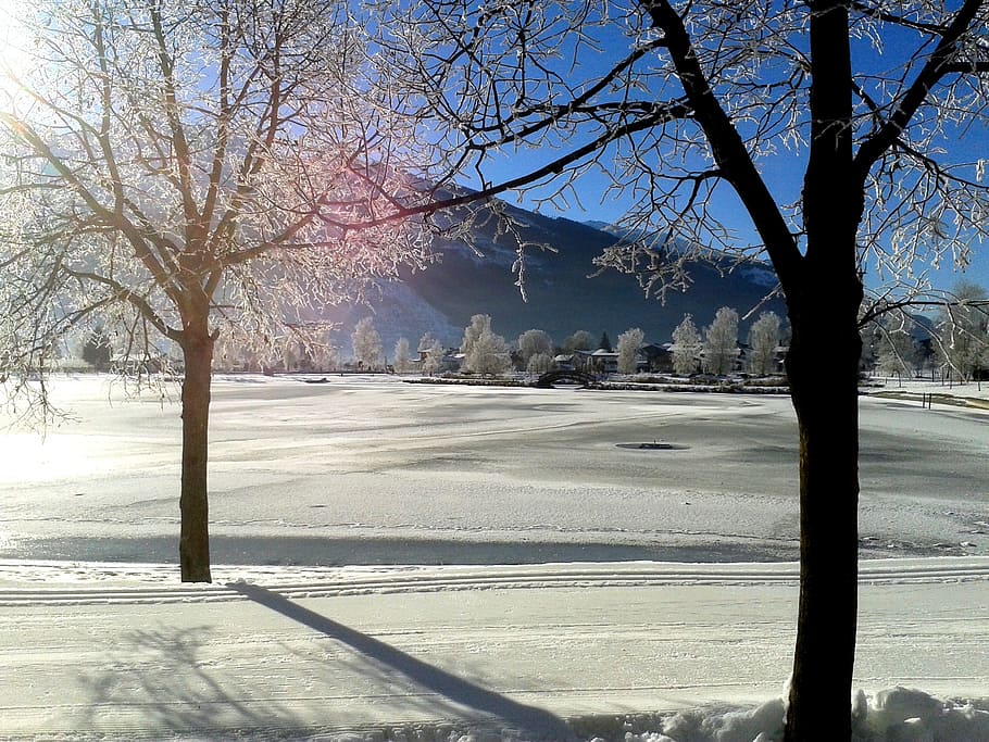 winter, trail, snow, white, cold, sun, uttendorf, badesee, snow landscape HD wallpaper