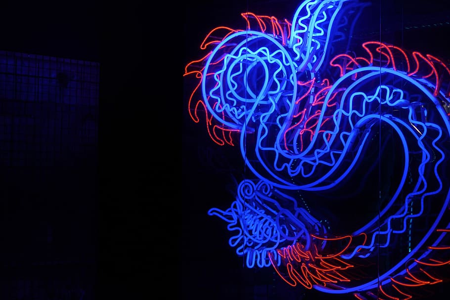 blue and red wyrm dragon light decor, blue and red lion neon light signage, HD wallpaper