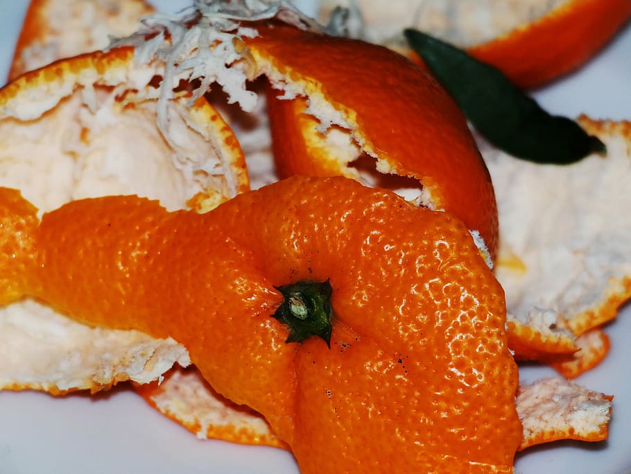 orange fruit skin, orange peel, shell, close, surface, structure HD wallpaper