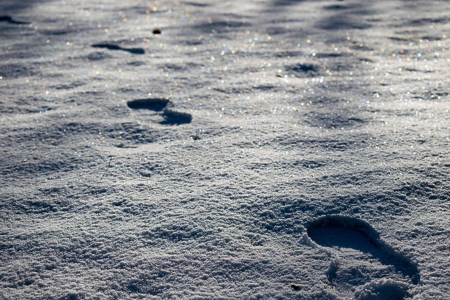 Snow, Footprints, Winter, Cold, landscapes, closeup, sweden HD wallpaper