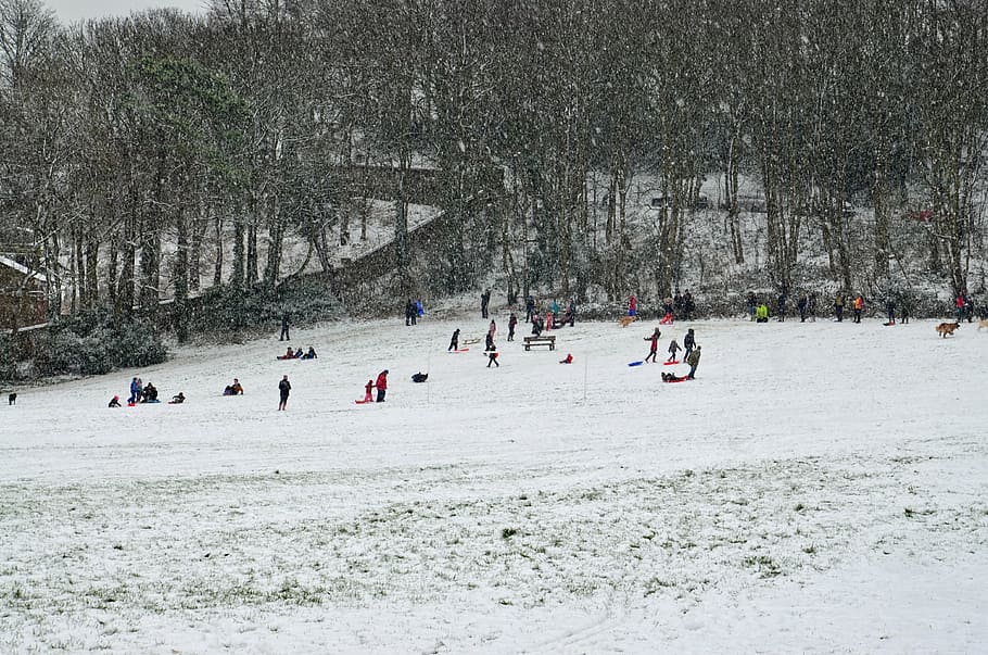 winter, sledding, people, snow, cold, white, snowy, snowing HD wallpaper