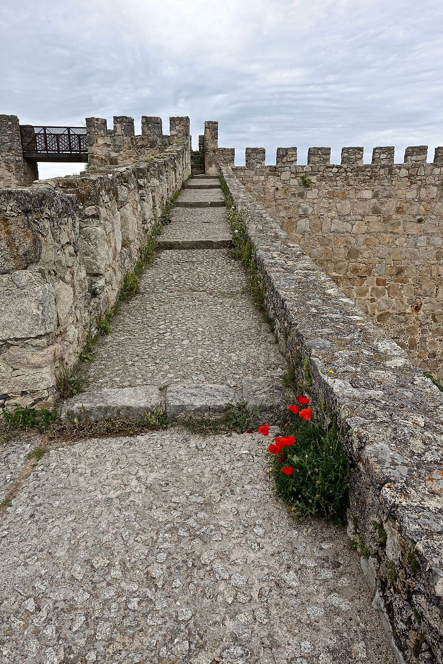red, flower, wall, stone, blossom, spring flower, bloom, architecture HD wallpaper