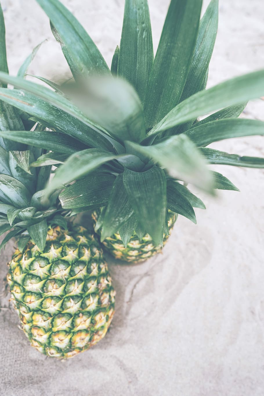 two pineapples, two pineapple fruits on gray sand, beach, closeup HD wallpaper