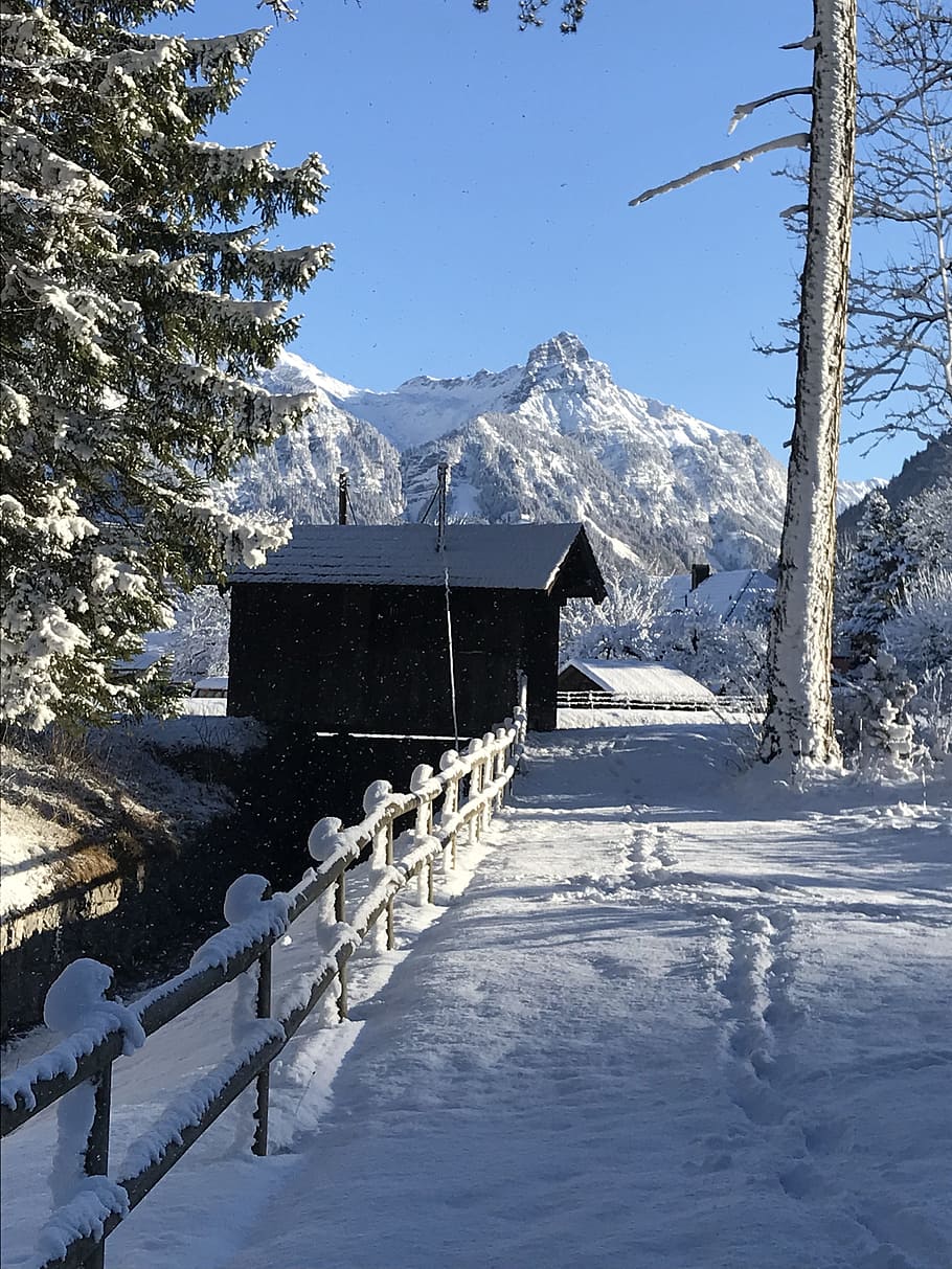 snow, winter, cold, ice, bludenz austria, landscape, fir, snow covered mountains HD wallpaper