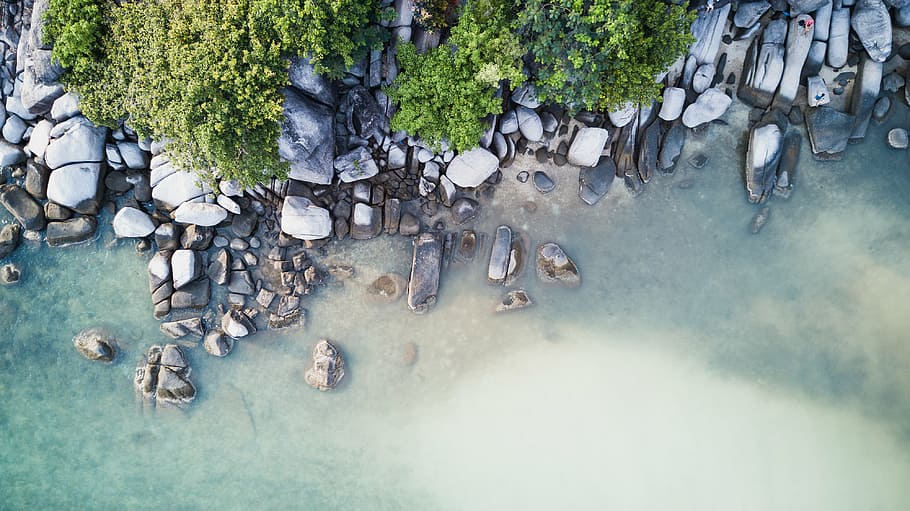 aerial view of trees beside body of water, sea, ocean, wave HD wallpaper