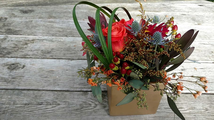 assorted-color flowers on brown planter pot, Autumn, Nature HD wallpaper