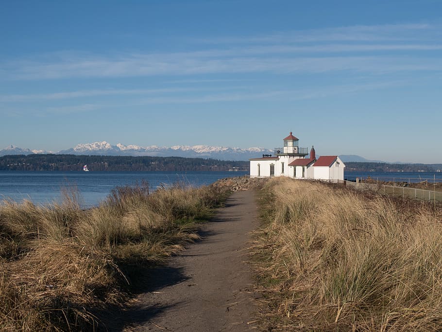 ocean, lighthouse, coast, sea, marine, architecture, coastline HD wallpaper