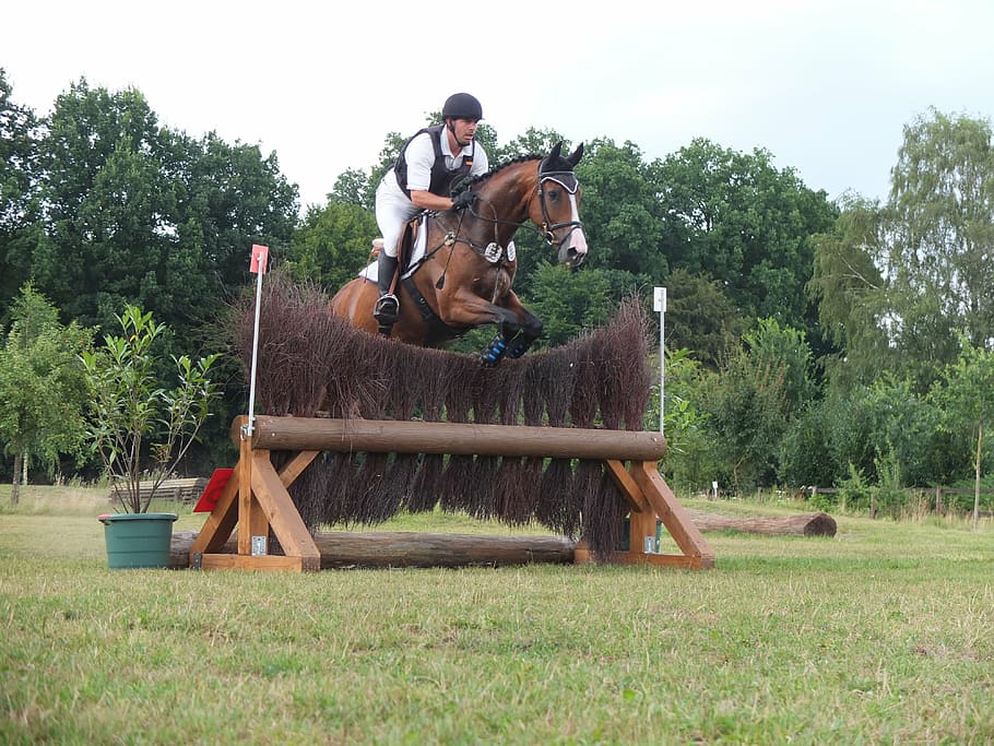 versatility, jump, eventing, military, training, obstacle, reiter HD wallpaper