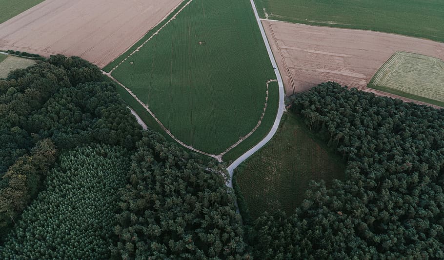 green plants, aerial view of lawn field, tree, forest, agriculture HD wallpaper