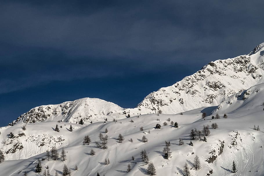 aerial view of snow and trees, aerial view of mountain with snow HD wallpaper