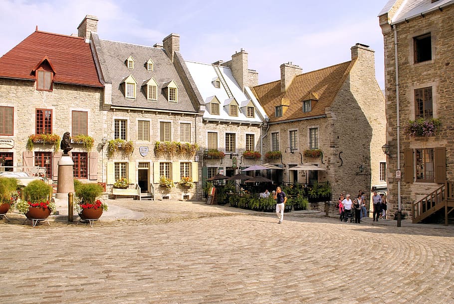 people walking near houses during daytime, canada, quebec, lower town HD wallpaper