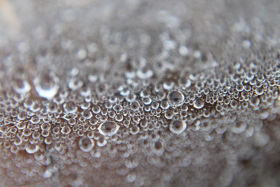 drop, wet, dew, abstract, dewy, droplets, liquid, water, macro HD wallpaper