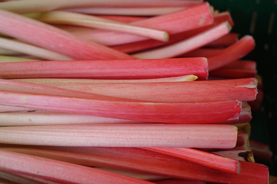 rhubarb, stalk, red, vegetables, vegetables rhabarber, curled rhabarber HD wallpaper