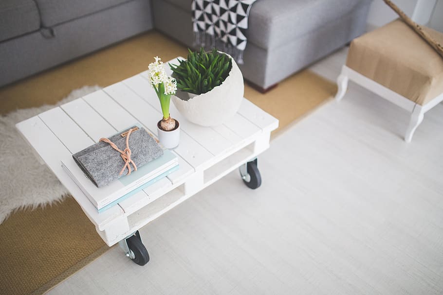 white petal flower on top of rolling rectangular white wooden table HD wallpaper
