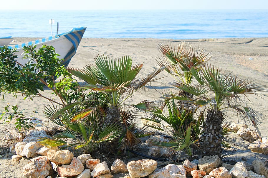 sea, beach, spain, sand, costa del sol, water, wave, andalusia HD wallpaper