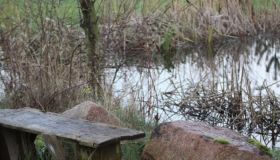 pond, bench, rock, tree, plant, tranquility, water, nature HD wallpaper