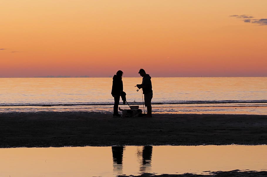 Fisherman’s catch of the day, silhouette of man and woman standing on shore HD wallpaper