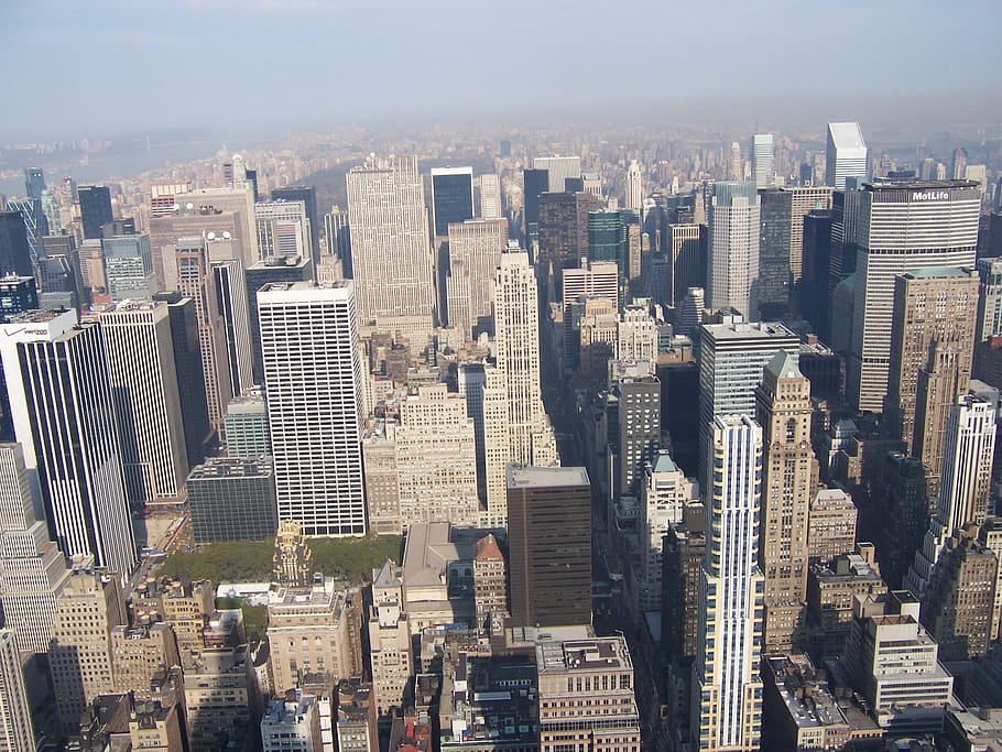 skyscraper, line, horizon, new york, united states of america HD wallpaper