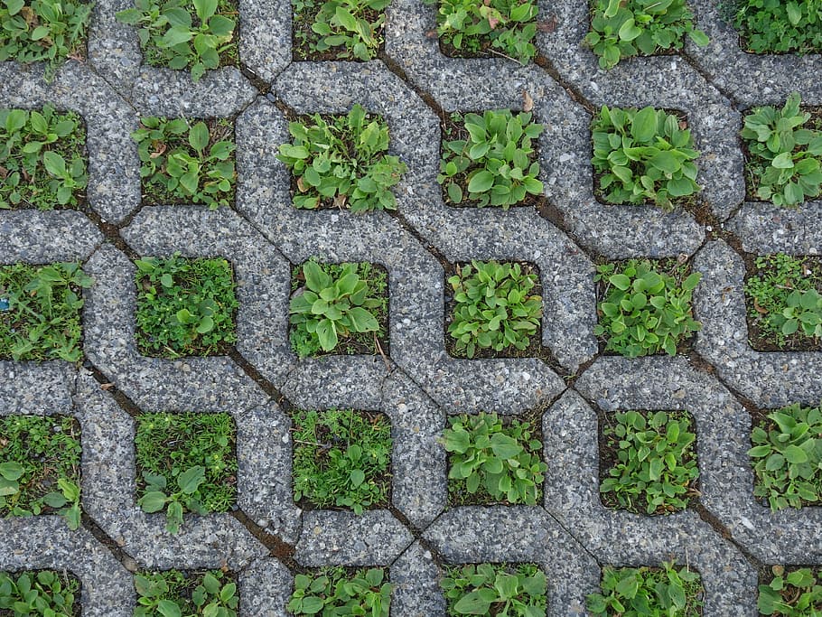 Ground, Squares, Grass, Concrete, green, grey, pattern, background HD wallpaper