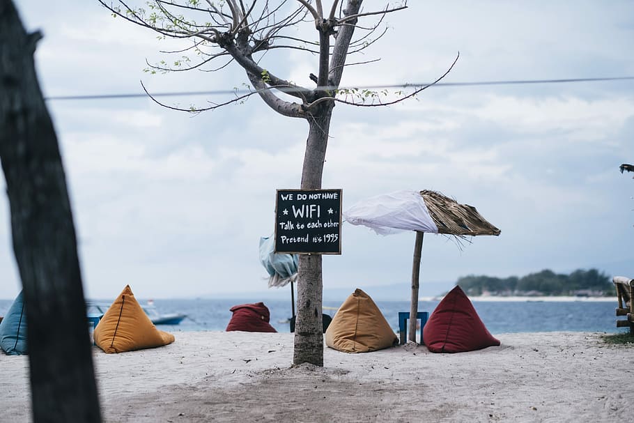 assorted-color bean bags inline in seashore at daytime, gray bare tree beside sea HD wallpaper
