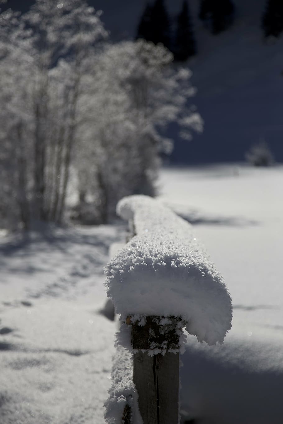 wintry, snow, snowy, nature, wipptal-valsertal, winter, cold temperature HD wallpaper