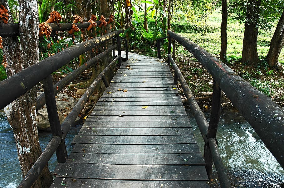 bridge, samoeng, thailand, tree, plant, wood - material, direction HD wallpaper
