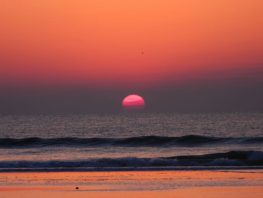 sunrise, beach, sky, coast, reflection, horizon, dawn, orange HD wallpaper