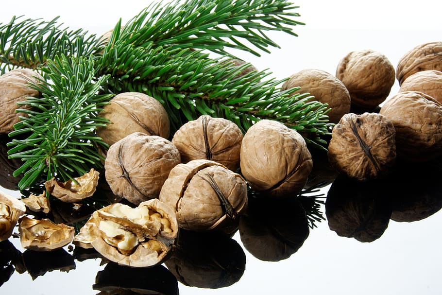 close up photograph of chestnuts, nutshells, christmas time HD wallpaper