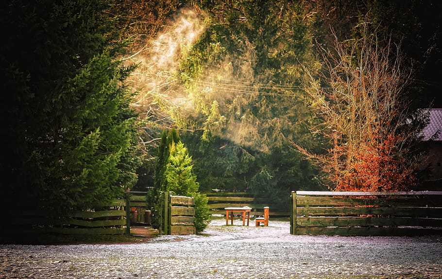 brown wooden fence beside trees, table, and chair during daytime HD wallpaper