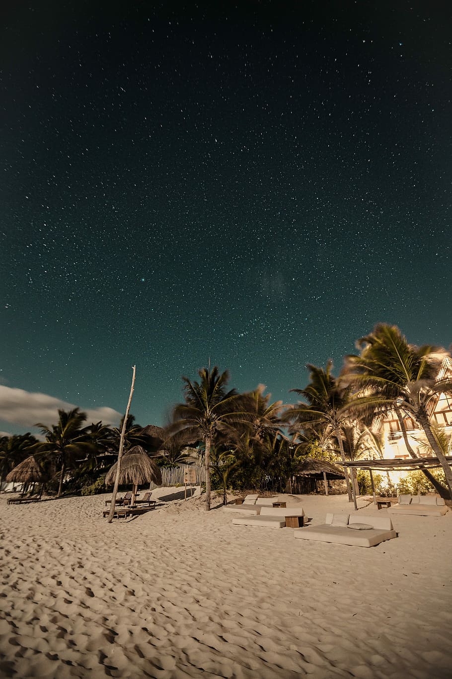 seashore and palm trees under starry sky, several gray loungers surrounded by palm trees on white sand