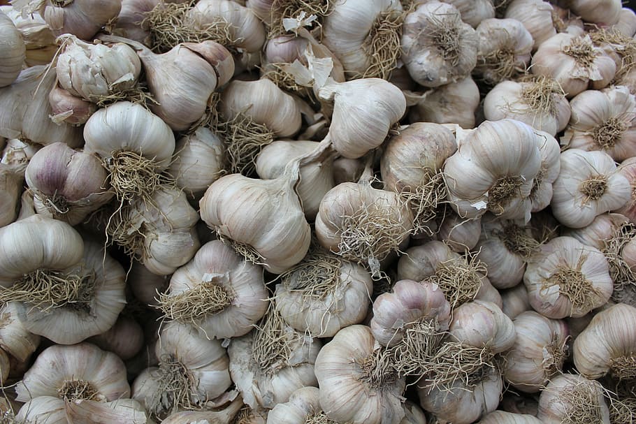 garlic, texture, background, natural, white, spice, ingredient HD wallpaper