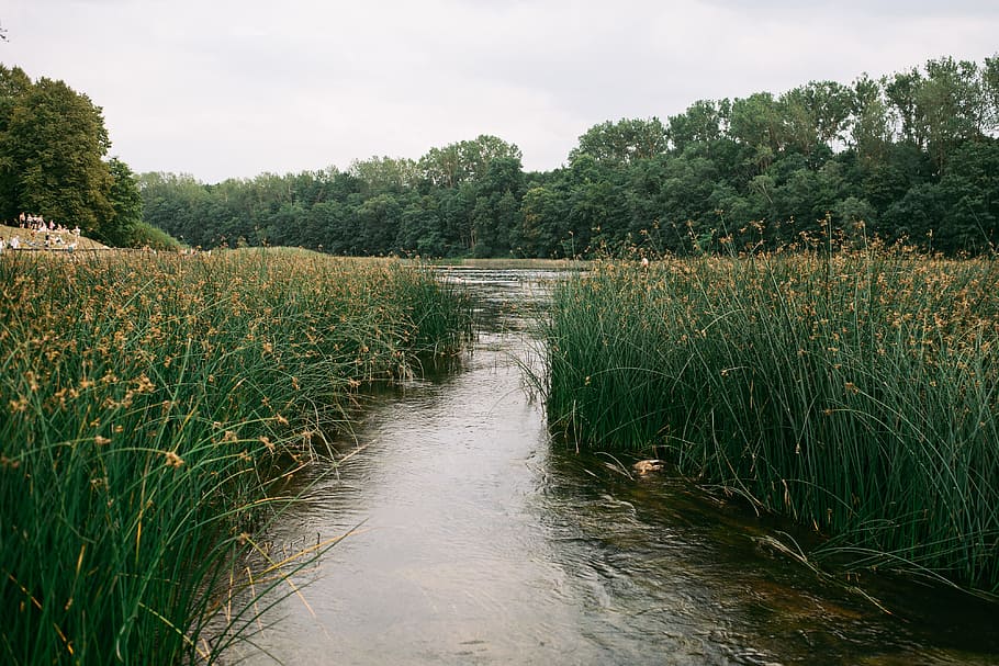 River in the summer, landscape, nature, water, outdoors, rural Scene HD wallpaper
