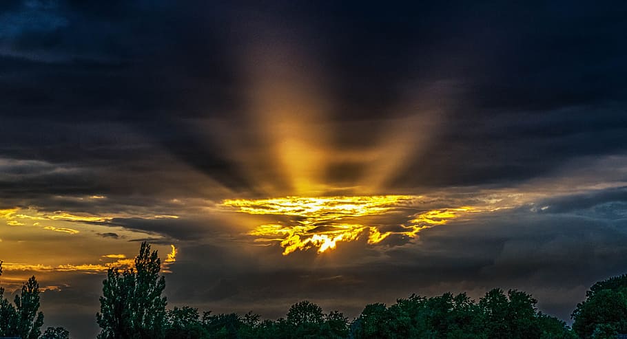 trees under golden hour, Sun, Evening, Rays, Clouds, Sunset HD wallpaper