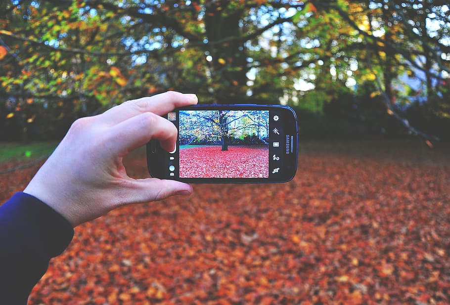 person taking photo of tree, Samsung, Galaxy, Phone, Mobile, Screen, HD wallpaper