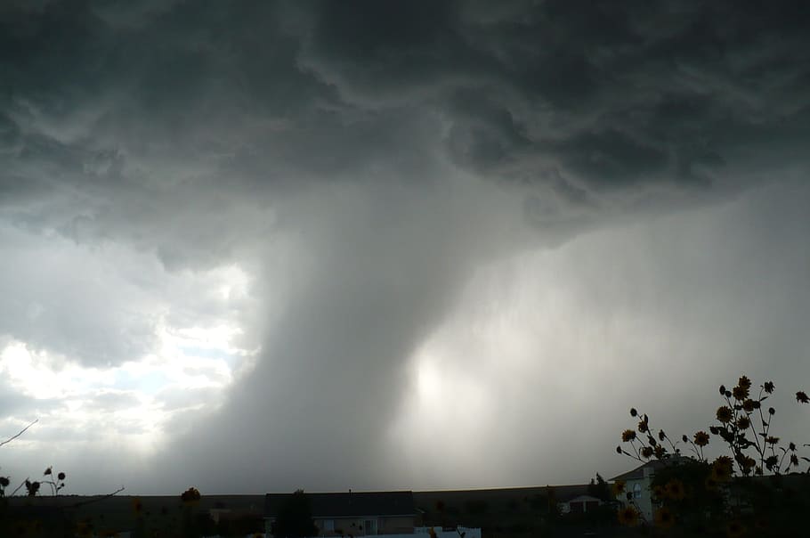 buildings and trees in distant of tornado, storm, weather, thunderstorm HD wallpaper