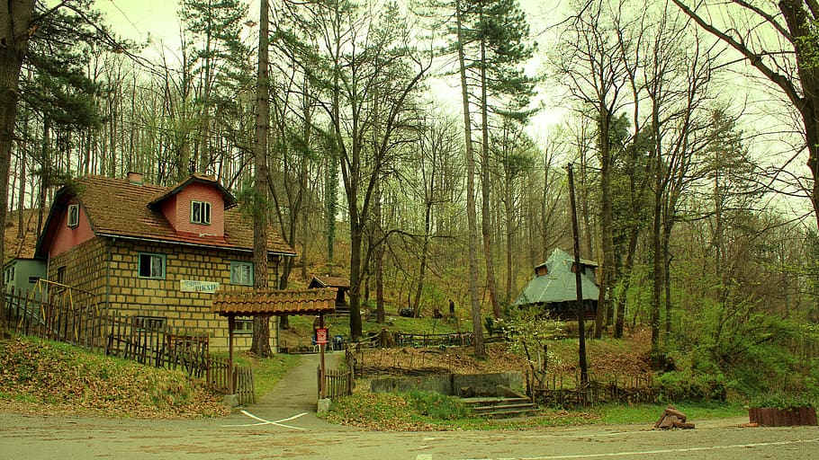 tuzla, bosnia, forest, picnic, nature, herzegovina, balkan, HD wallpaper