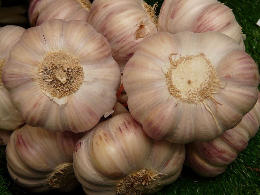 garlic, tuber, substantial, smell, eat, food and drink, freshness HD wallpaper
