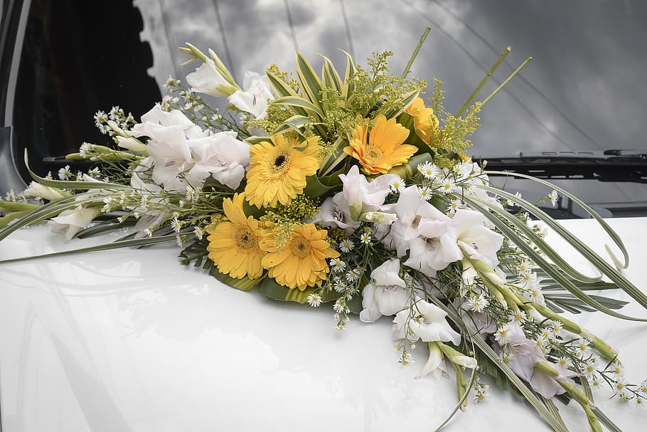 flowers, marriage, commitment, flowering plant, freshness, vulnerability HD wallpaper