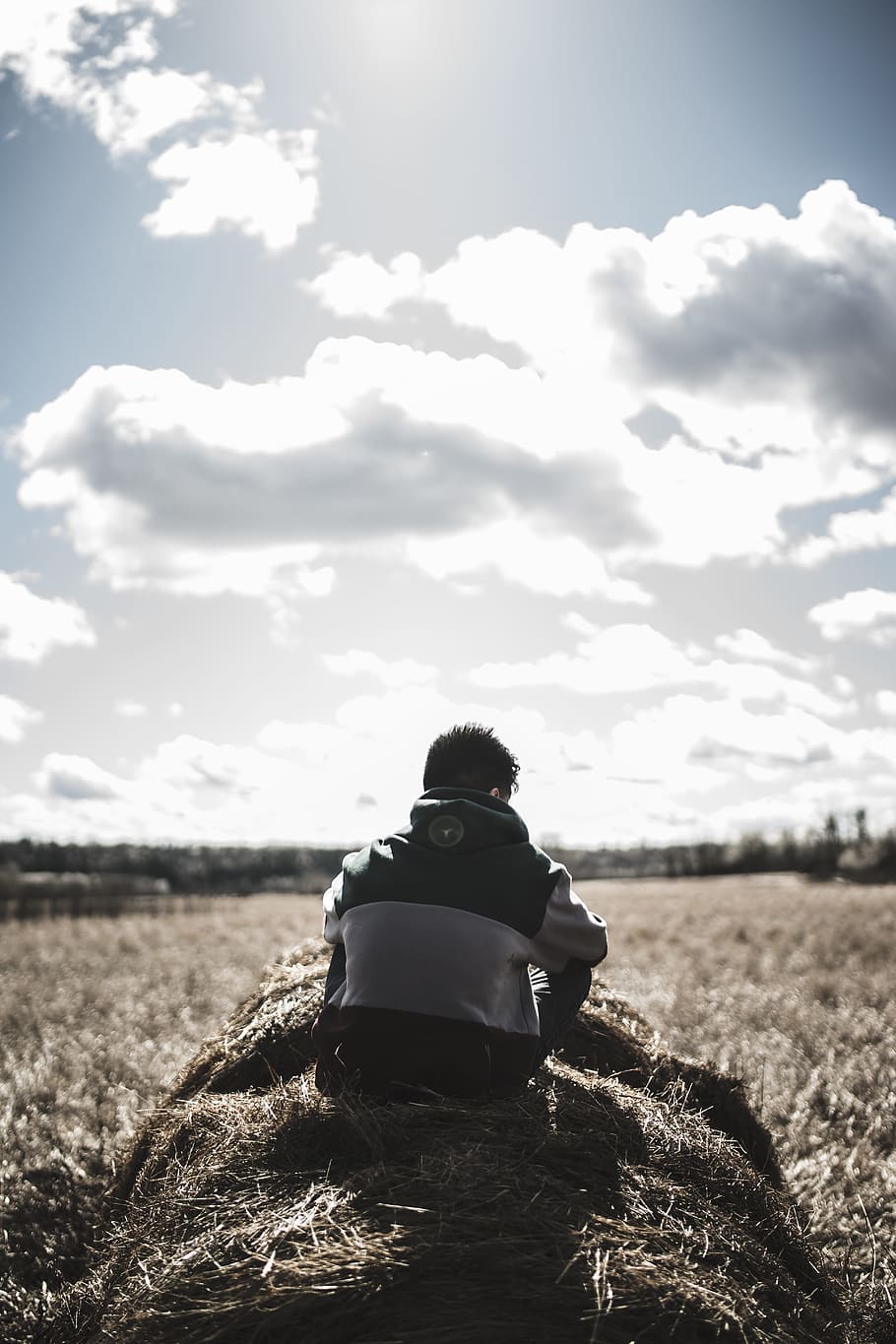 people man, back, guy, boy, grass, field, farm, landscape, trees HD wallpaper