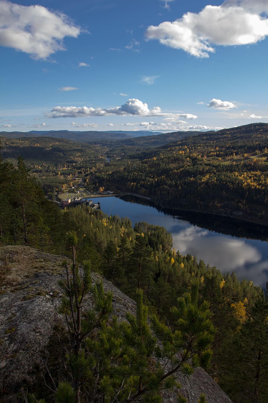 telemark norway, forest, sky, mountain, water, spruce, pine HD wallpaper