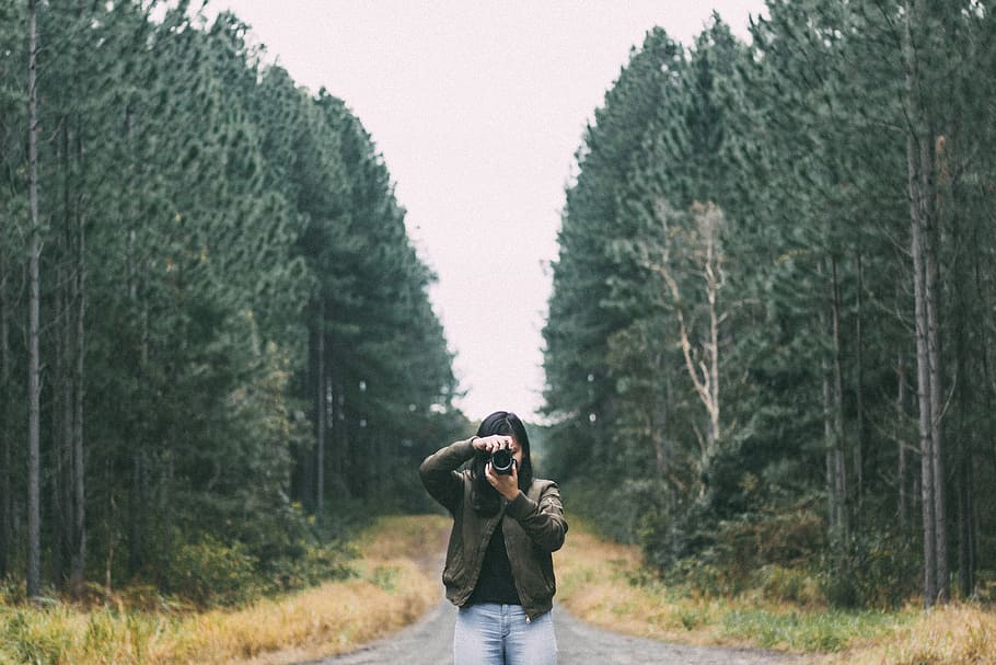 woman standing on road taking photo, woman holding camera standing on road between trees at daytime HD wallpaper