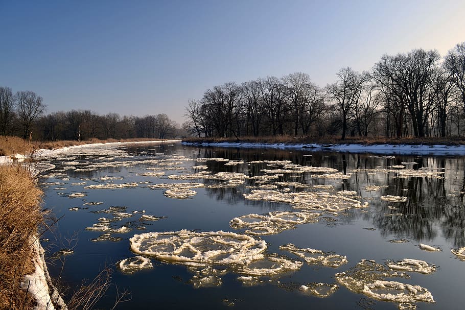 winter, river, poland, water, tree, lake, sky, tranquility HD wallpaper