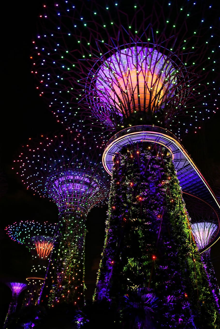 low angle view of lighted tree at night, illuminated, celebration HD wallpaper