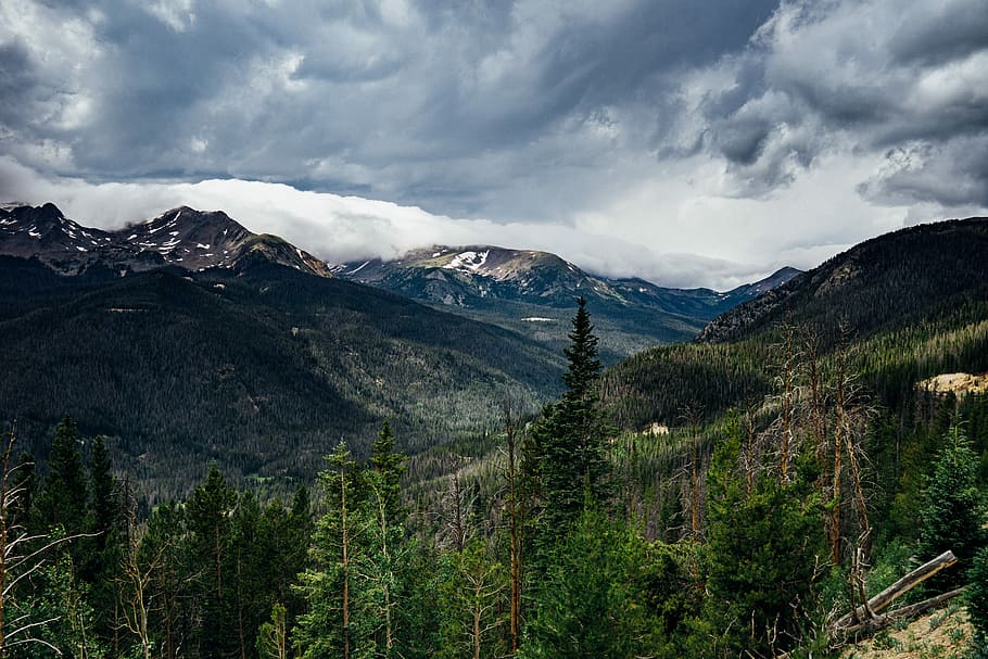 mountain and green tress under cloudy sky, green trees under gray sky HD wallpaper