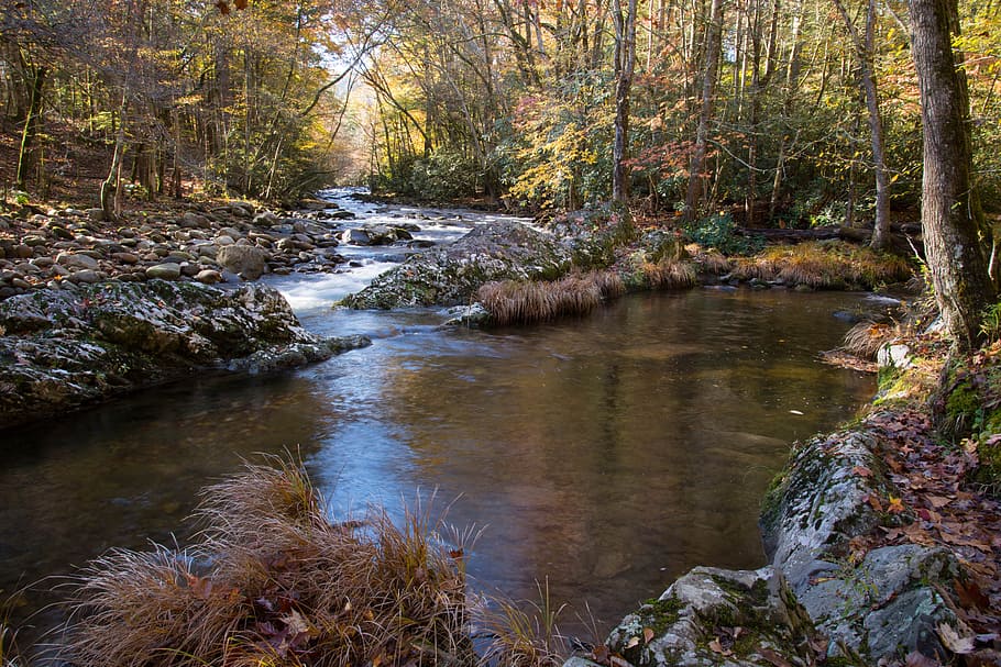 Creek, Smoky Mountain National Park, appalachia, tennessee, nature, HD wallpaper